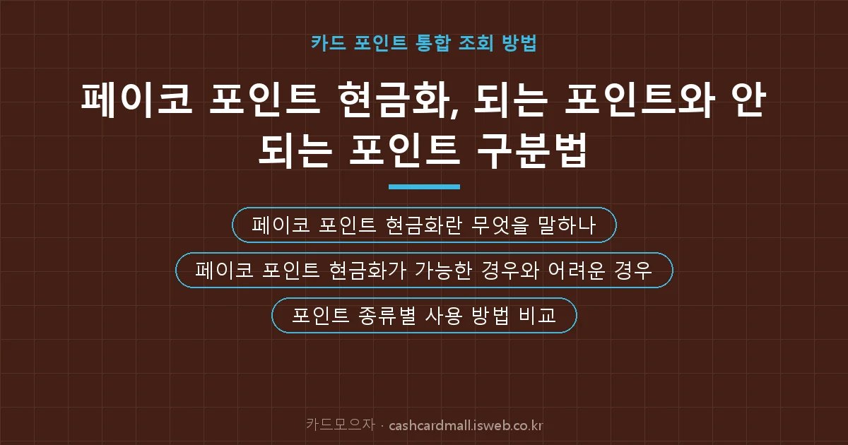 페이코 포인트 현금화 핵심 내용 요약