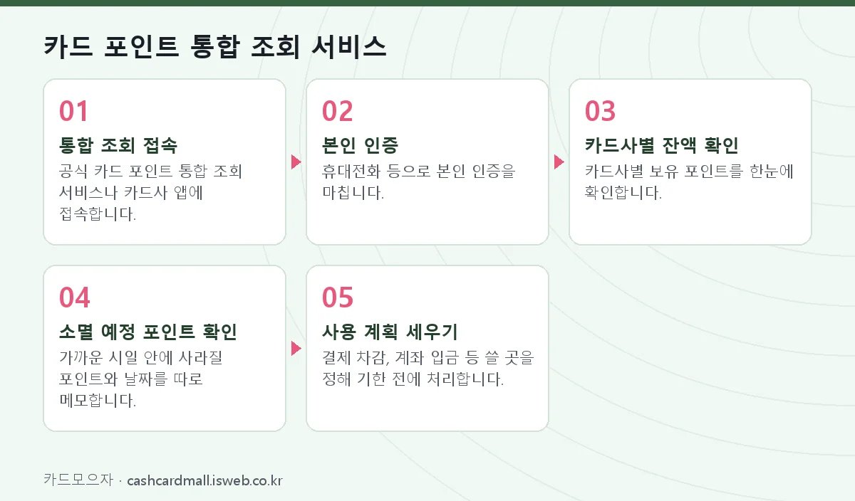카드 포인트 소멸 기간 카드 포인트 통합 조회 서비스